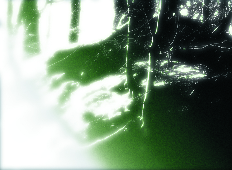 Green alone.jpg