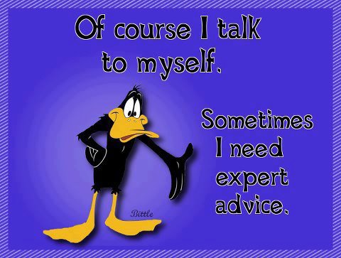 daffy advice.jpg