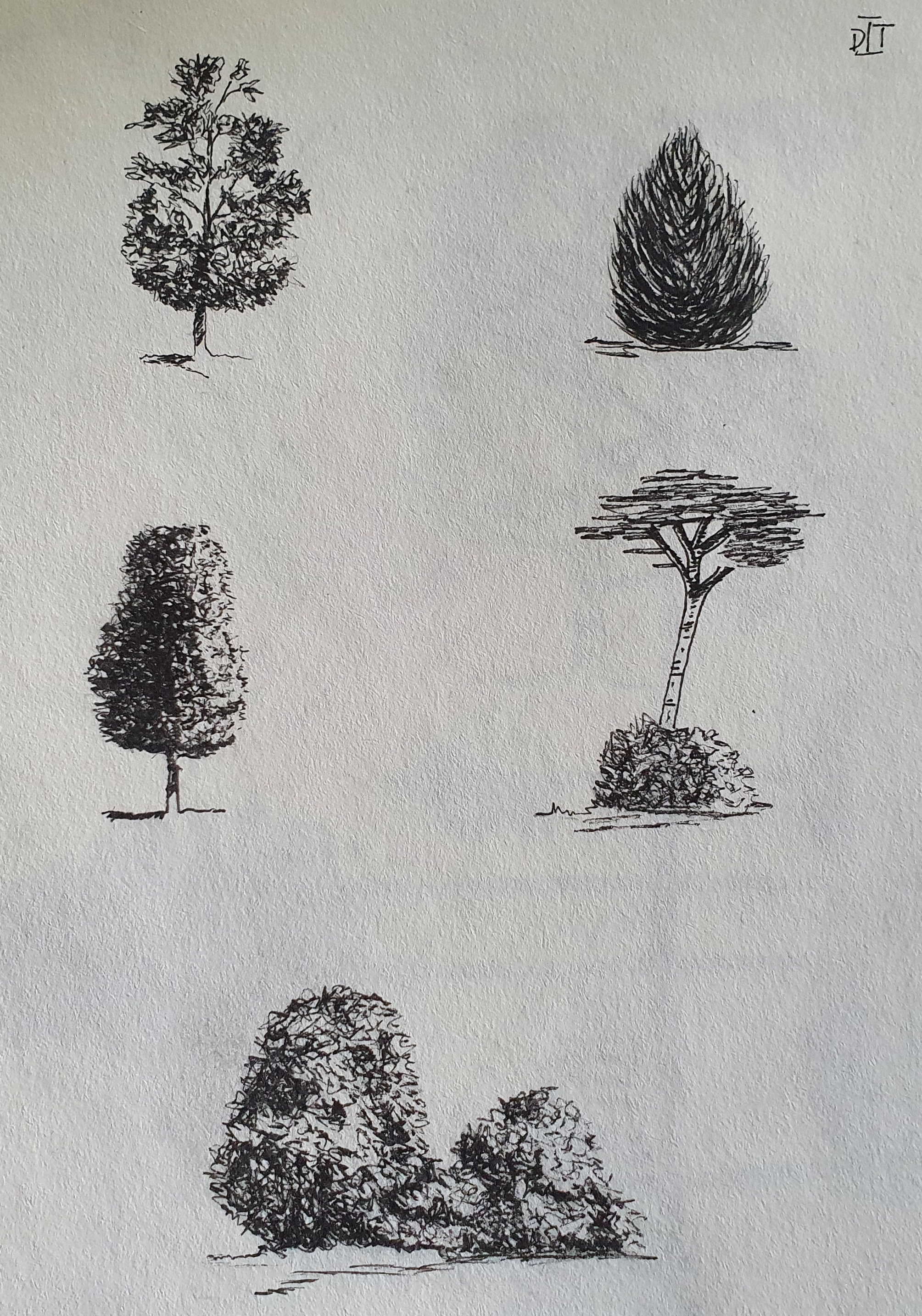 Trees.jpg