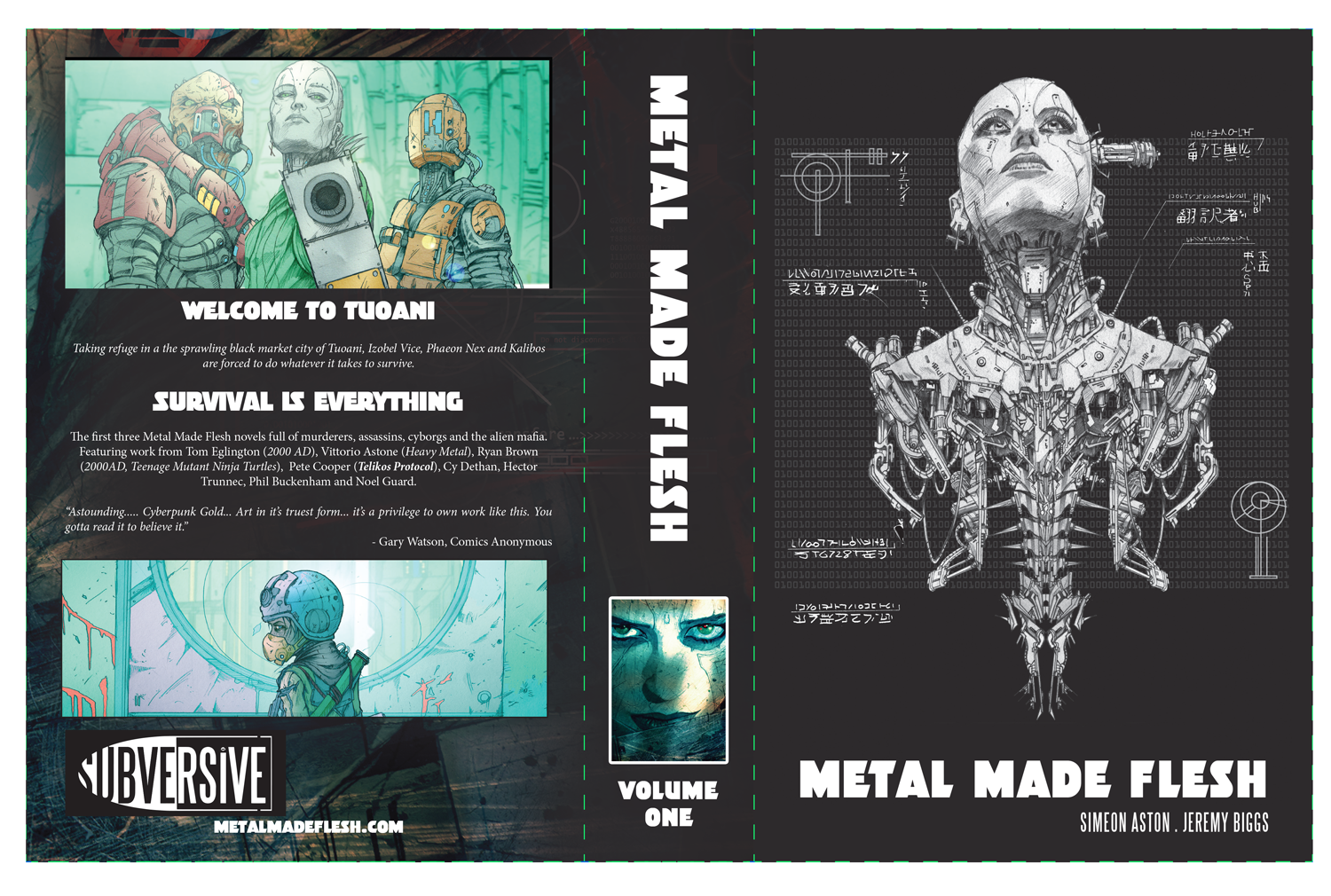 Version1-mmf-bset.png