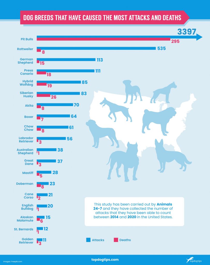 US-Statistics-on-Dog-Bites_2-811x1024.jpg